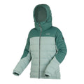 Green Haze-Spruce Green - Side - Regatta Womens-Ladies Aldthorn Quilted Jacket