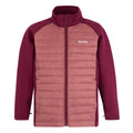Dark Pimento-Dusty Rose-Lotus - Side - Regatta Girls Trekktain 3 in 1 Jacket