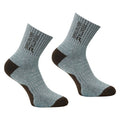 Spruce Green-Grey Mist - Back - Regatta Womens-Ladies Bamboo Crew Socks