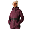 Fig - Lifestyle - Dare 2B Womens-Ladies Issy Ski Jacket
