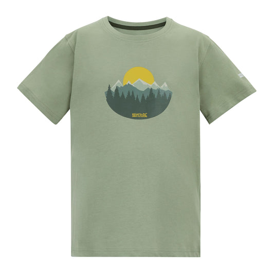 Sage Green - Front - Regatta Childrens-Kids Bosley Sunset T-Shirt