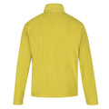 Dark Tang - Back - Regatta Great Outdoors Mens Thompson Half Zip Fleece Top