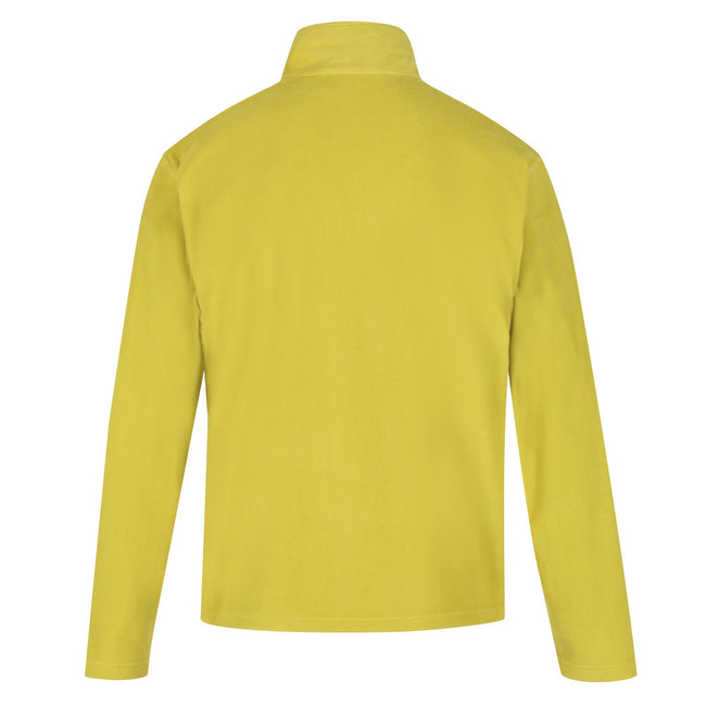 Dark Tang - Back - Regatta Great Outdoors Mens Thompson Half Zip Fleece Top