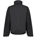 Black-Classic Red - Back - Regatta Professional Mens Waterproof Insulated Jacket