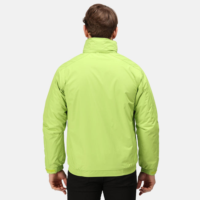 Key Lime-Seal Grey - Back - Regatta Professional Mens Waterproof Insulated Jacket