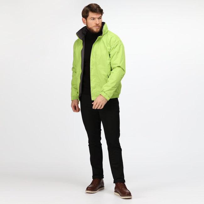 Key Lime-Seal Grey - Lifestyle - Regatta Professional Mens Waterproof Insulated Jacket