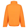 Sun Orange-Seal Grey - Back - Regatta Professional Mens Waterproof Insulated Jacket