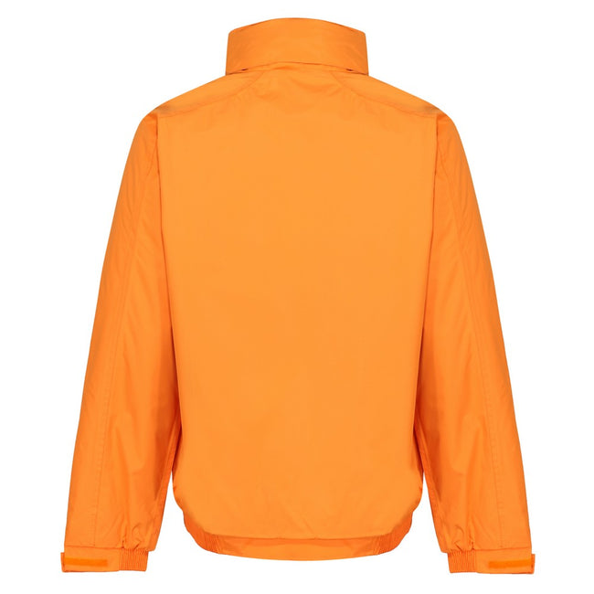 Sun Orange-Seal Grey - Back - Regatta Professional Mens Waterproof Insulated Jacket
