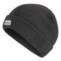 Seal Grey - Front - Regatta Professional Mens Beanie