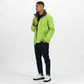 Key Lime-Seal Grey - Lifestyle - Regatta Mens Standout Ardmore Jacket (Waterproof & Windproof)