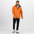 Sun Orange-Seal Grey - Back - Regatta Mens Standout Ardmore Jacket (Waterproof & Windproof)