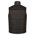 Black - Back - Regatta Mens Standout Altoona Insulated Bodywarmer Jacket
