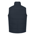 Navy - Back - Regatta Professional Mens Standout Altoona Insulated Bodywarmer Jacket
