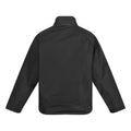 Black - Back - Regatta Professional Mens Insulated Jacket