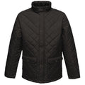 Black - Front - Regatta Professional Mens Quilted Jacket