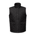 Black - Front - Regatta Professional Mens Quilted Body Warmer