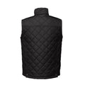 Black - Back - Regatta Professional Mens Quilted Body Warmer