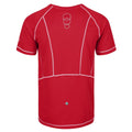 Chinese Red - Back - Regatta Mens Virda II Lightweight T-Shirt