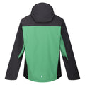 Field Green-Ash - Back - Regatta Mens Birchdale Waterproof Hooded Jacket