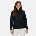 Black - Back - Regatta Professional Womens-Ladies Stage II Insulated Body Warmer