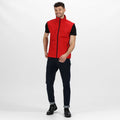 Classic Red - Back - Regatta Professional Mens Softshell 3 Layer Body Warmer