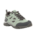 Mint Green-Briar Grey - Front - Regatta Womens-Ladies Holcombe IEP Low Hiking Boots