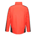 Raspberry Red-Graphite Black - Lifestyle - Regatta Professional Womens-Ladies Contrast Full Zip Jacket