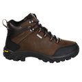 Fawn Brown - Back - Regatta Great Outdoors Mens Burrell Leather Hiking Boots