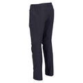 Seal Grey - Side - Regatta Mens Highton Hiking Trousers