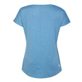 Niagra Blue - Back - Dare 2B Womens-Ladies Active T-Shirt