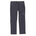 Seal Grey - Front - Regatta Mens Highton Water Repellent Hiking Trousers