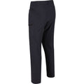 Seal Grey - Back - Regatta Mens Highton Water Repellent Hiking Trousers