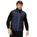 Navy-French Blue - Back - Regatta Professional Mens Padded Body Warmer