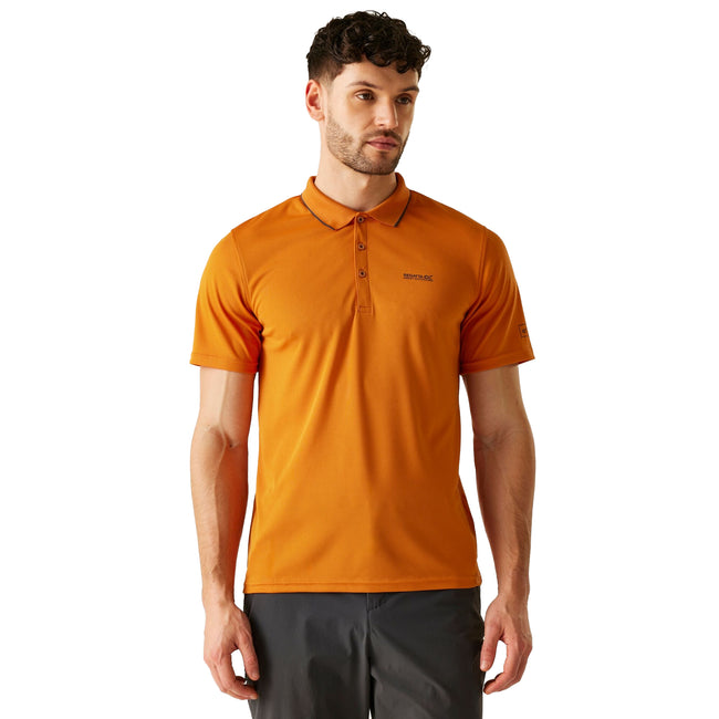 Fox-Ash - Front - Regatta Mens Maverick V Active Polo Shirt