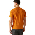 Fox-Ash - Back - Regatta Mens Maverick V Active Polo Shirt