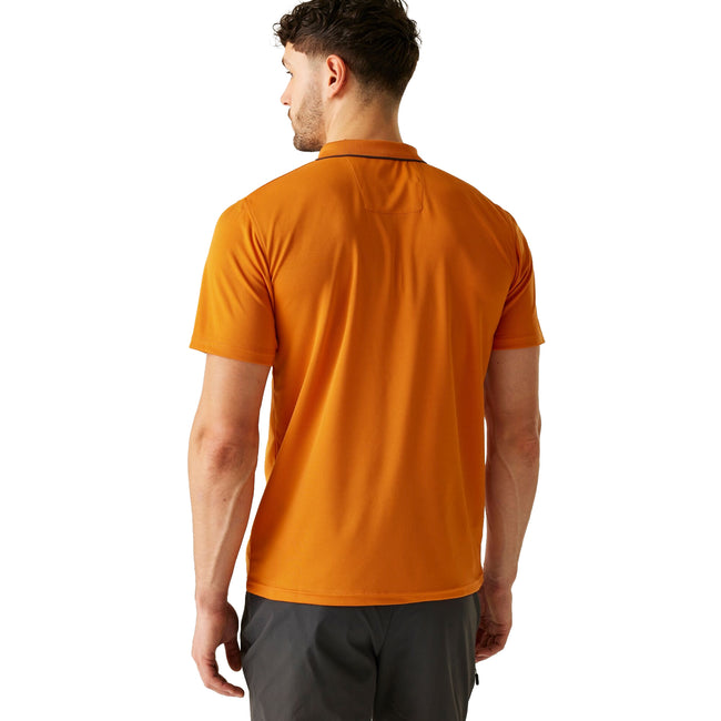 Fox-Ash - Back - Regatta Mens Maverick V Active Polo Shirt
