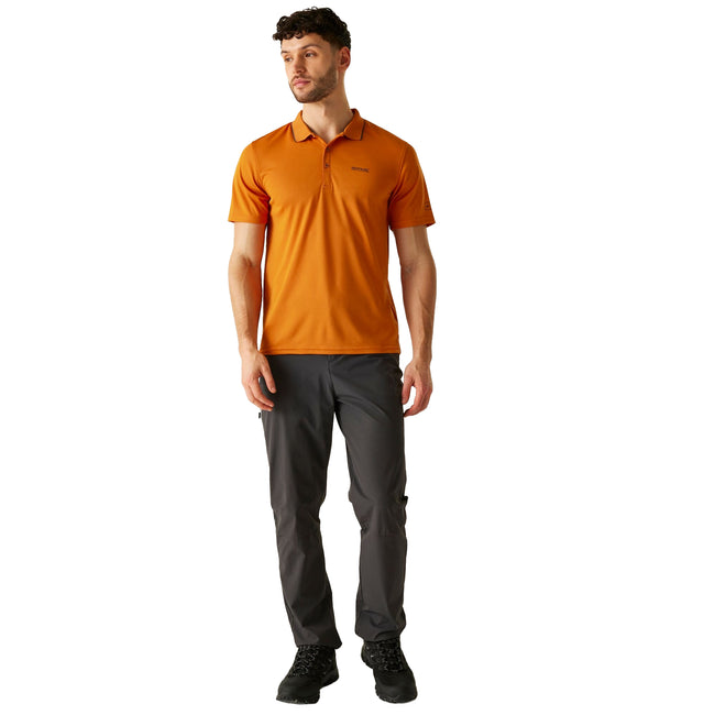 Fox-Ash - Side - Regatta Mens Maverick V Active Polo Shirt