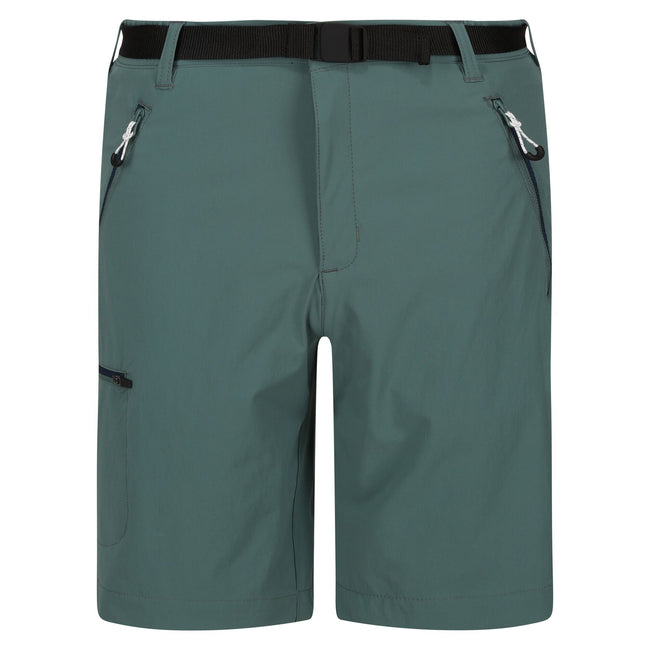 Sea Pine - Front - Regatta Mens Xert III Stretch Shorts