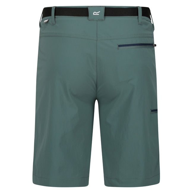 Sea Pine - Back - Regatta Mens Xert III Stretch Shorts