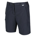 Seal Grey - Back - Regatta Womens-Ladies Chaska II Walking Shorts