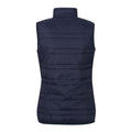 Navy-French Blue - Back - Regatta Professional Womens-Ladies Insulated Body Warmer