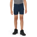 Moonlight Denim - Lifestyle - Regatta Childrens-Kids Highton Shorts