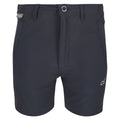India Grey - Front - Regatta Childrens-Kids Highton Shorts