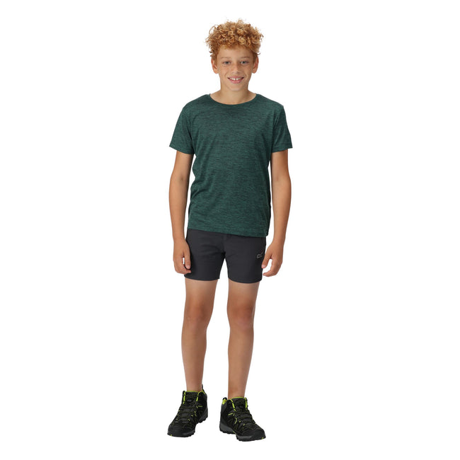 India Grey - Back - Regatta Childrens-Kids Highton Shorts