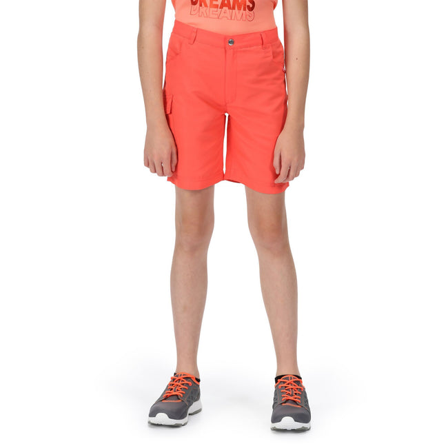 Neon Peach - Back - Regatta Childrens-Kids Sorcer II Shorts