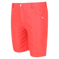 Neon Peach - Pack Shot - Regatta Childrens-Kids Sorcer II Shorts