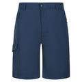 Dusty Denim - Front - Regatta Childrens-Kids Sorcer II Shorts