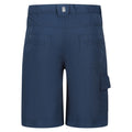 Dusty Denim - Back - Regatta Childrens-Kids Sorcer II Shorts