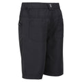Seal Grey - Back - Regatta Childrens-Kids Sorcer II Shorts