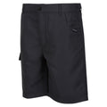 Seal Grey - Lifestyle - Regatta Childrens-Kids Sorcer II Shorts